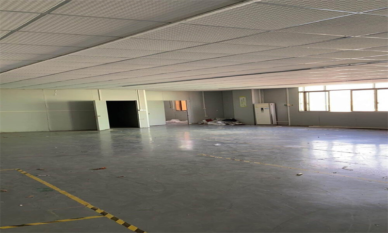 新闻稿：中山市和泰工业区的发展新篇章